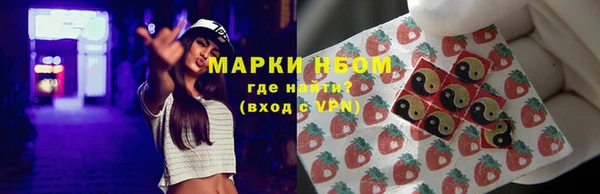 твердый Арсеньев