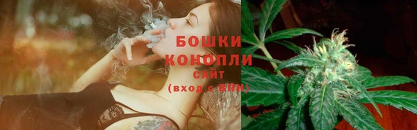 твердый Арсеньев