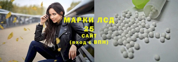 индика Армянск