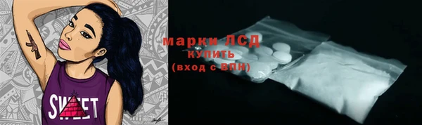 индика Армянск