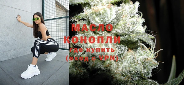 индика Армянск