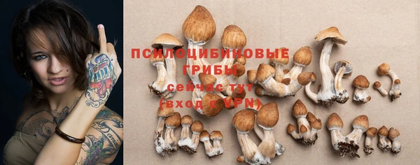 гашик Балахна