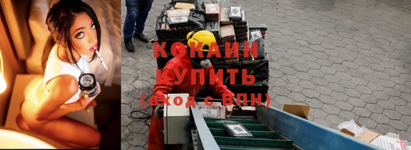 индика Армянск