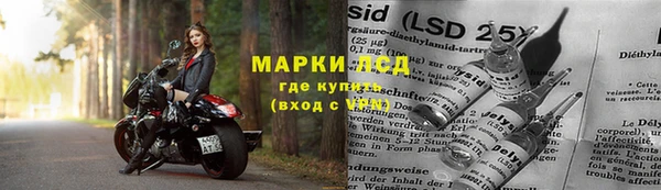 твердый Арсеньев