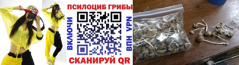 Галлюциногенные грибы мухоморы  хочу наркоту  Ржев 